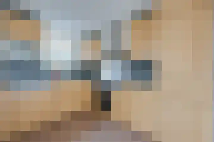 Jol 13 13 25 Lelystad thumbnail 8