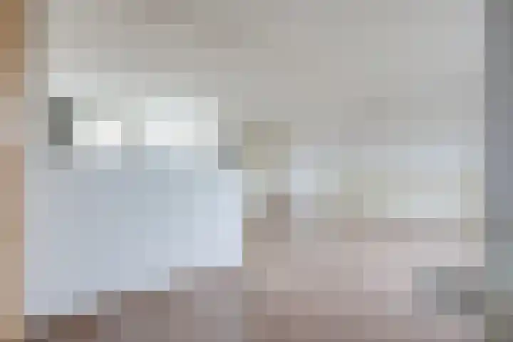 Jol 13 13 25 Lelystad thumbnail 9