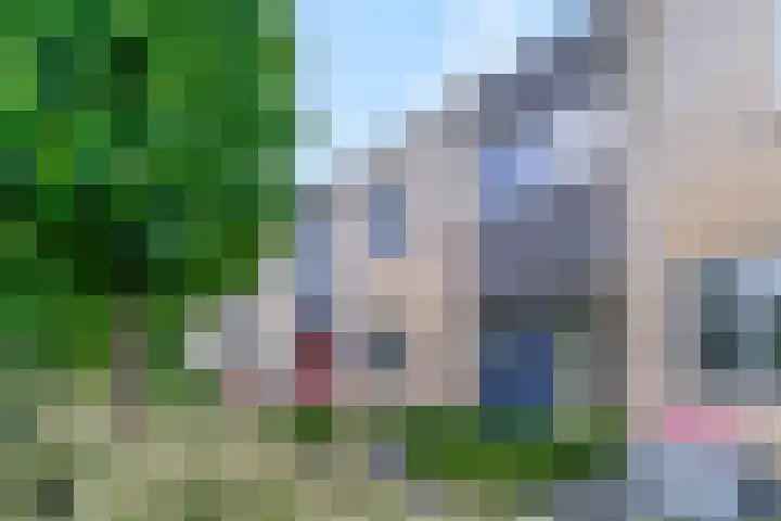 Jol 15 Nijkerk