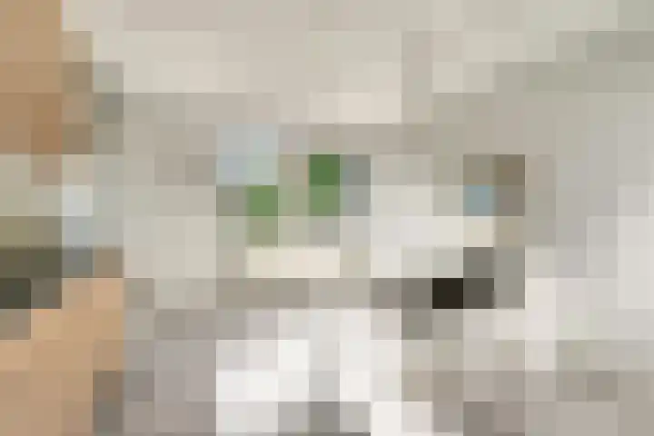 Jol 15 Nijkerk thumbnail 7