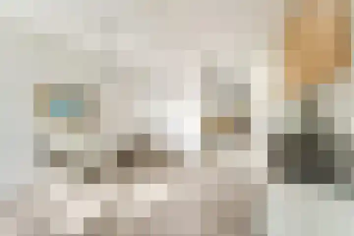 Jol 15 Nijkerk thumbnail 9