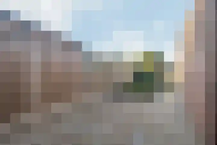 Jol 17 17 33 Lelystad thumbnail 43