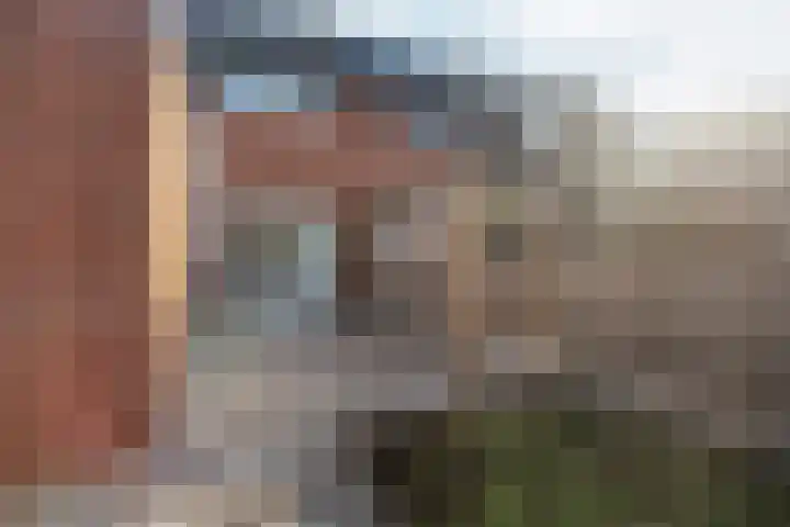 Jol 17 17 33 Lelystad thumbnail 45