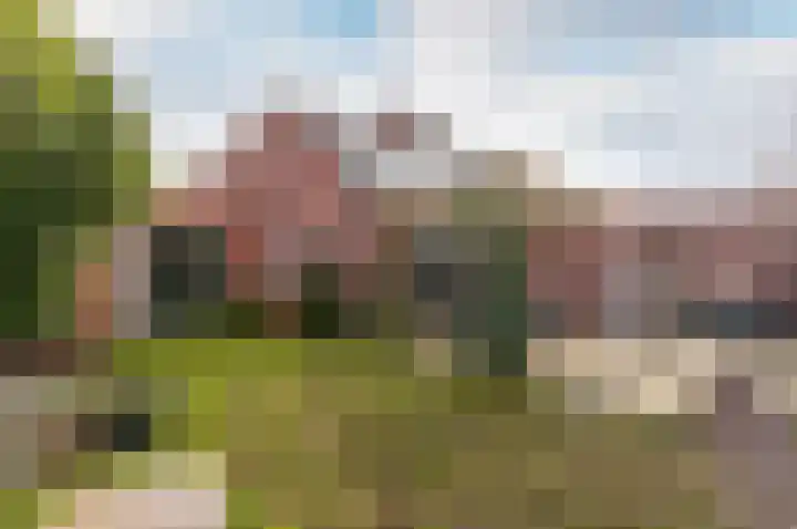 Jol 17 17 39 Lelystad thumbnail 40
