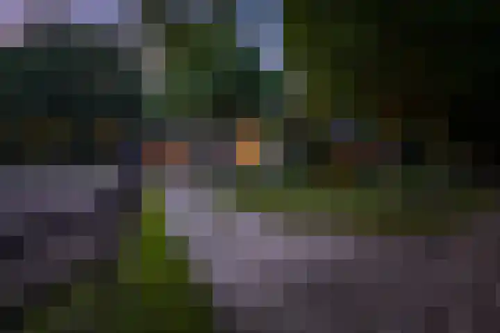 Jol 17 17 39 Lelystad thumbnail 43