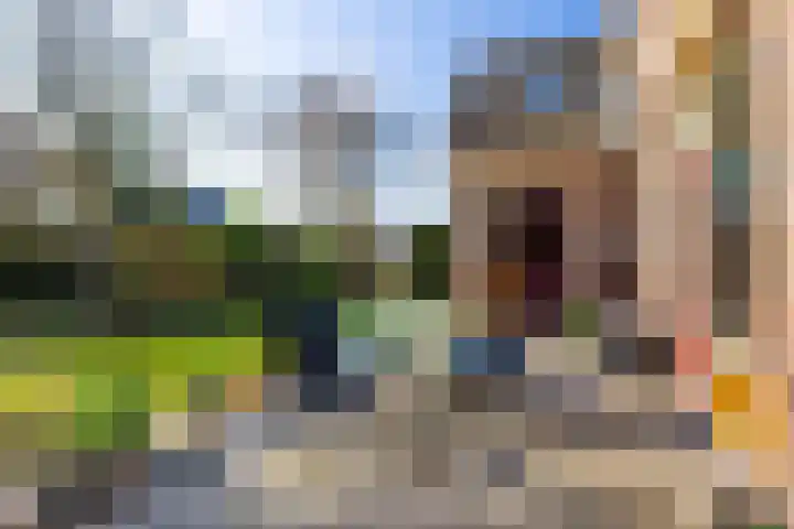 Jol 32 32 21 Lelystad thumbnail 18