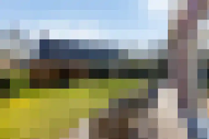 Jol 32 32 21 Lelystad thumbnail 19