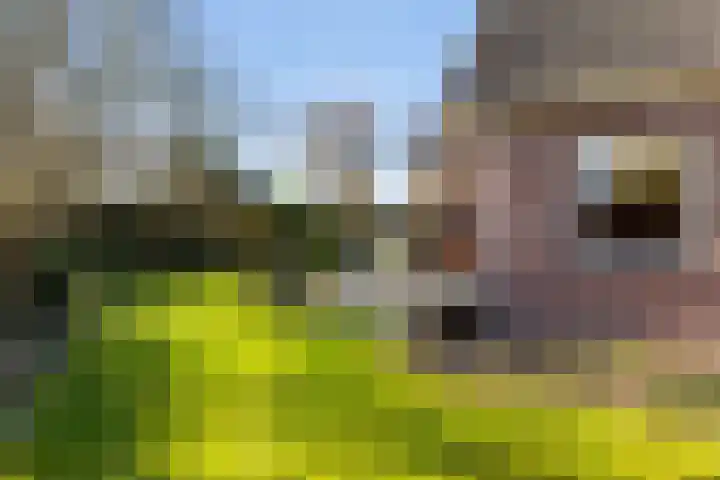 Jol 32 32 21 Lelystad thumbnail 24