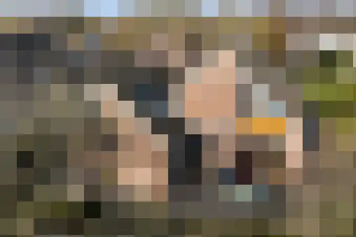 Jol 32 32 21 Lelystad thumbnail 25
