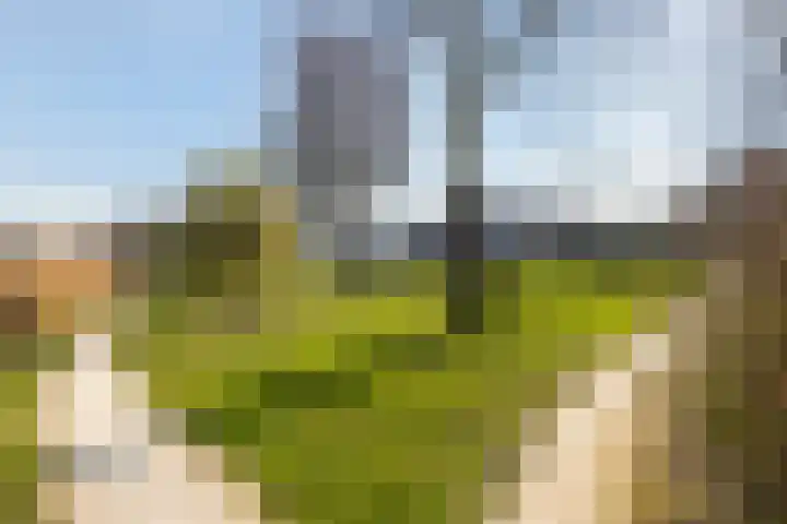 Jol 32 32 21 Lelystad thumbnail 33