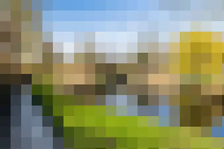 Jol 32 32 21 Lelystad thumbnail 34