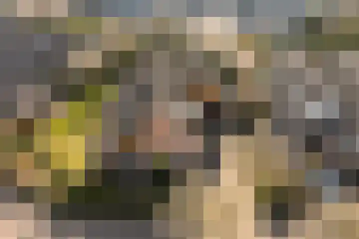Jol 32 32 21 Lelystad thumbnail 35