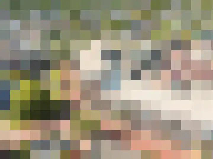 Jol 37 37 55 Lelystad thumbnail 30