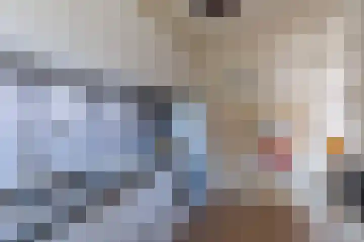 Jollenpad 33 Alkmaar thumbnail 12