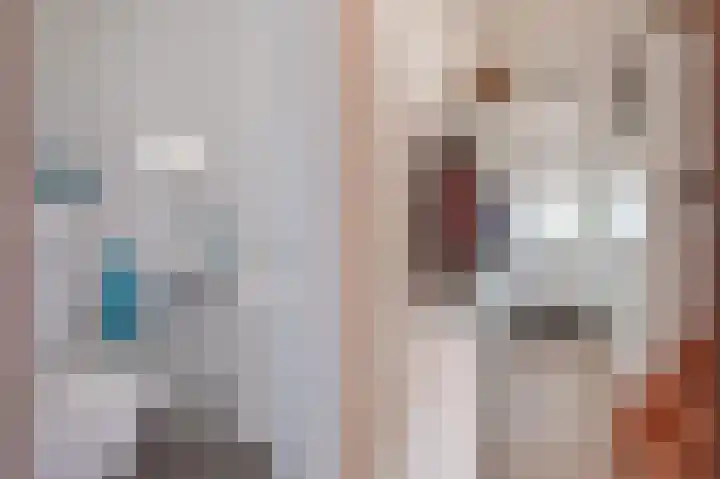 Jollenpad 33 Alkmaar thumbnail 14