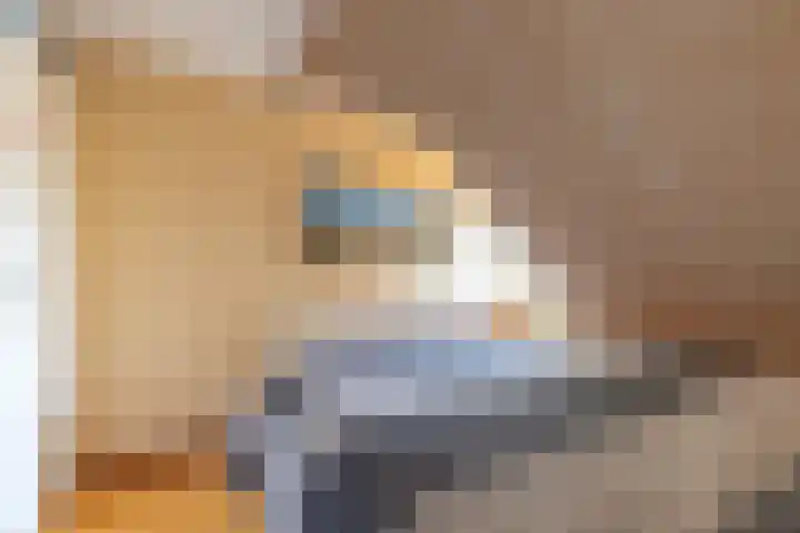 Jollenpad 33 Alkmaar thumbnail 16