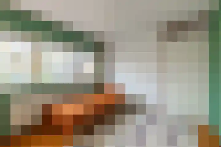 Jollenpad 33 Alkmaar thumbnail 20