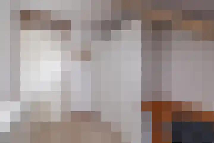 Jollenpad 33 Alkmaar thumbnail 24