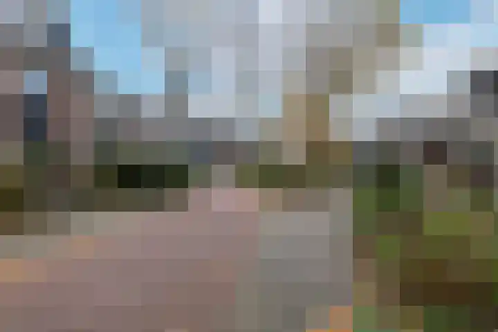 Jollenpad 33 Alkmaar thumbnail 33