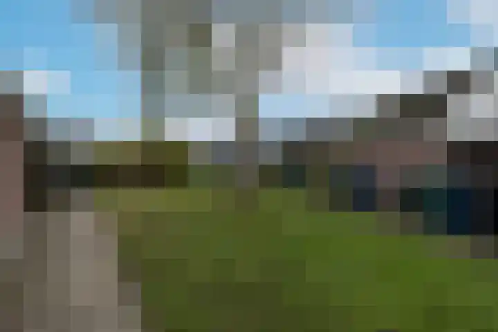 Jollenpad 33 Alkmaar thumbnail 34