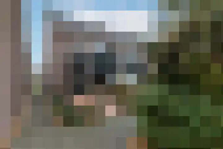 Jollenpad 33 Alkmaar thumbnail 43