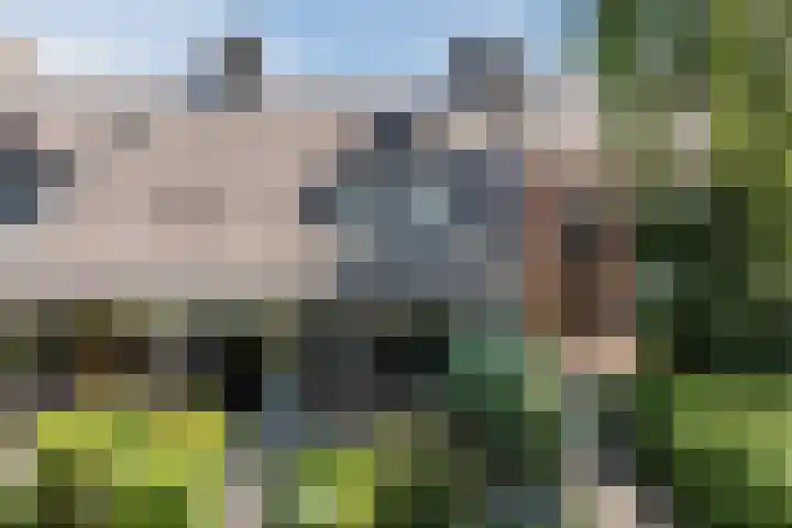 Jollenpad 34 Alkmaar