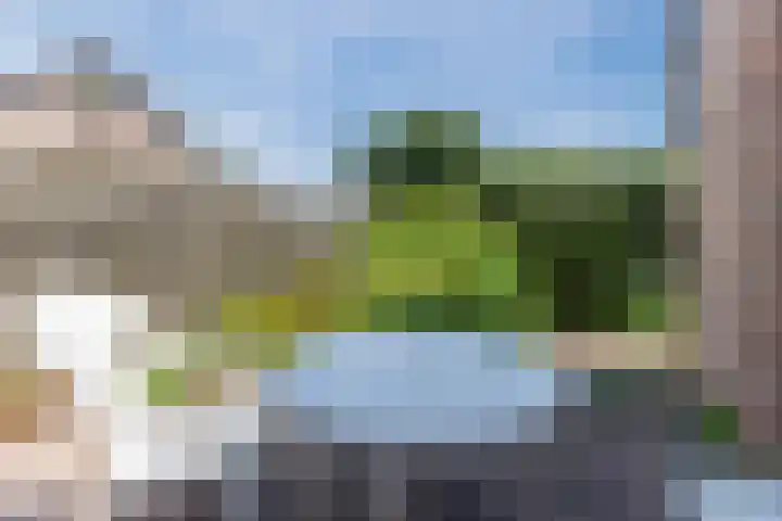 Jollenpad 34 Alkmaar thumbnail 18