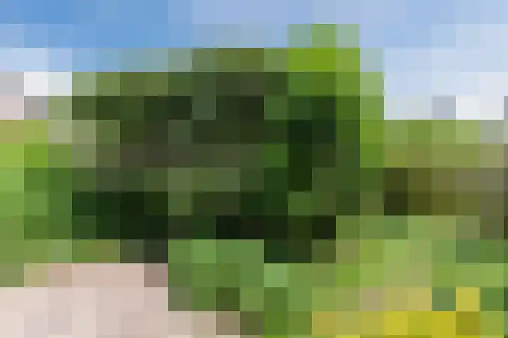 Jollenpad 34 Alkmaar thumbnail 20