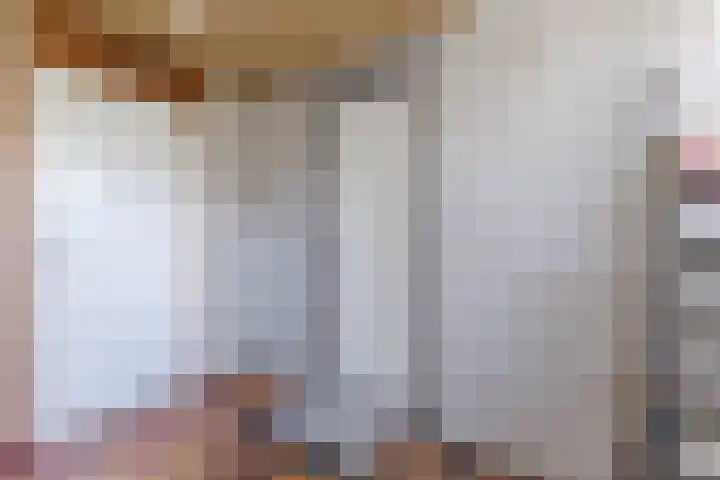 Jollenpad 34 Alkmaar thumbnail 22
