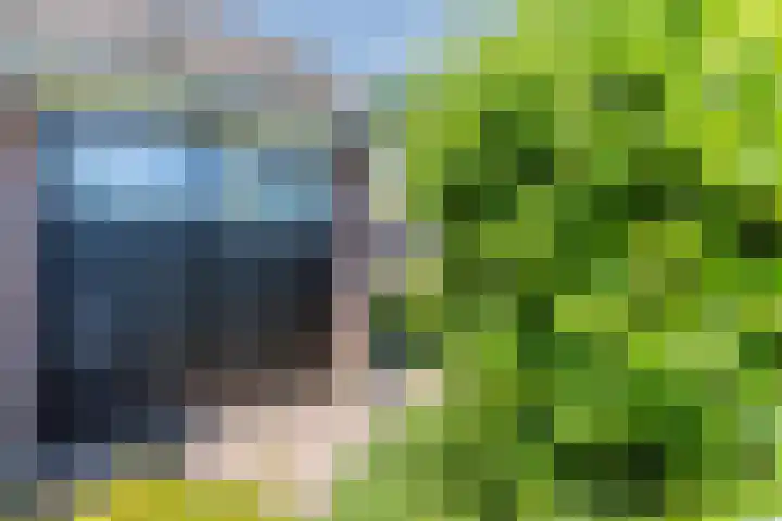 Jollenpad 34 Alkmaar thumbnail 25