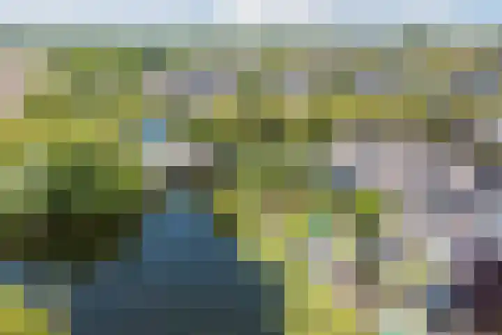 Jollenpad 34 Alkmaar thumbnail 26