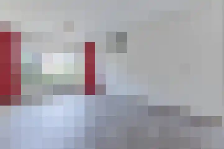 Jollenpad 34 Alkmaar thumbnail 5