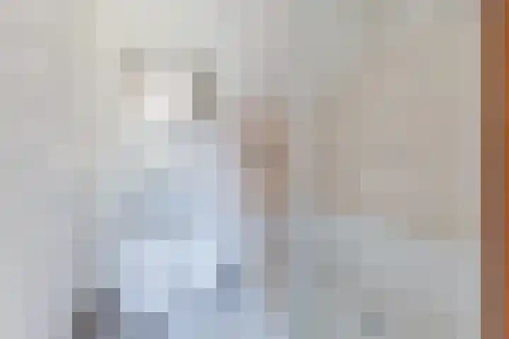 Jollenpad 34 Alkmaar thumbnail 9