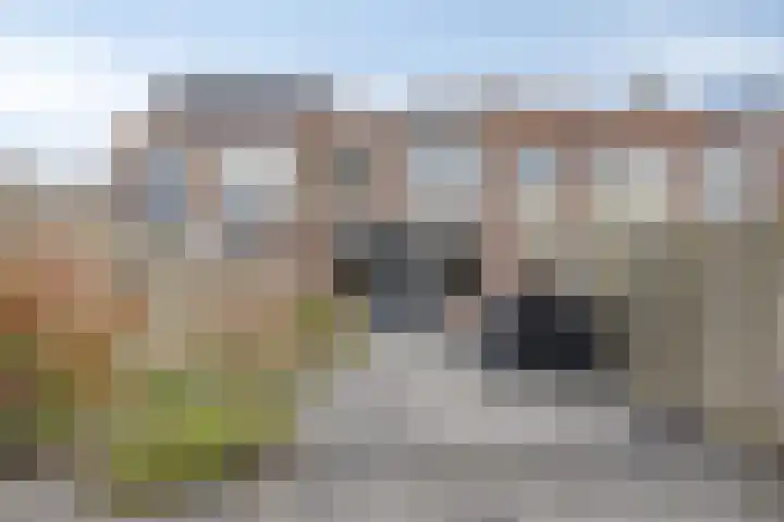 Jolstraat 21 Purmerend thumbnail 25