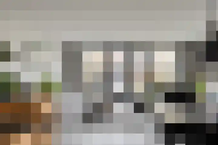 Jolstraat 21 Purmerend thumbnail 9
