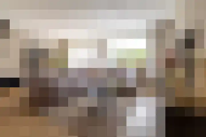 Jolstraat 9 Den Helder thumbnail 8