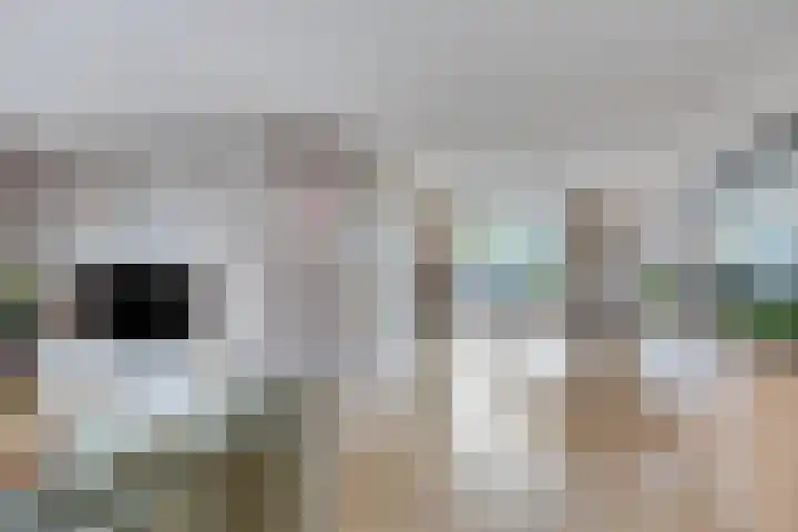 Jonagold 13 Elst thumbnail 16