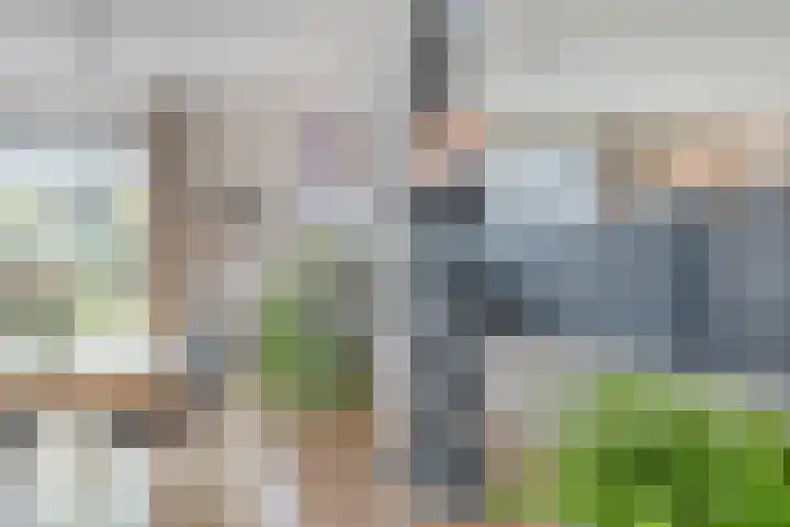 Jonagold 13 Elst thumbnail 17