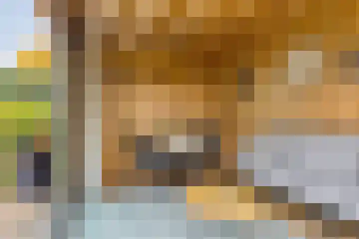 Jonagold 13 Elst thumbnail 43
