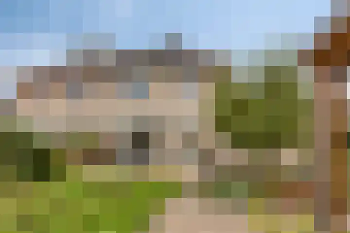 Jonagold 13 Elst thumbnail 45