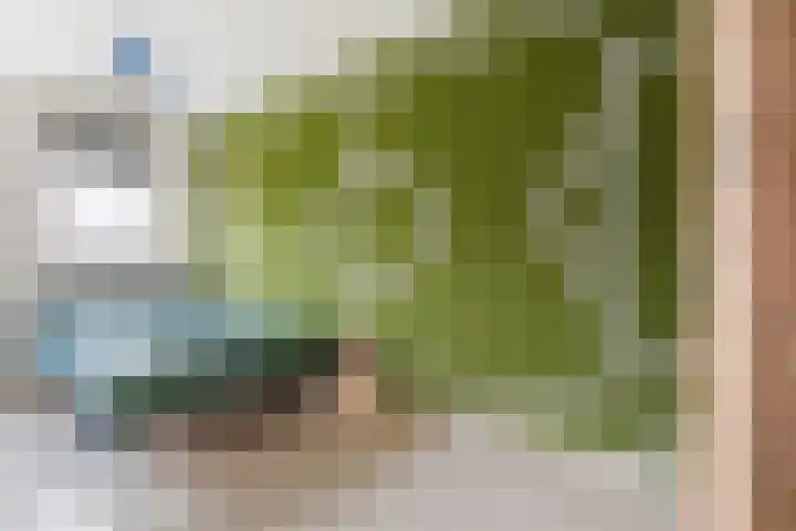 Jonagold 39 Berkel-Enschot thumbnail 24