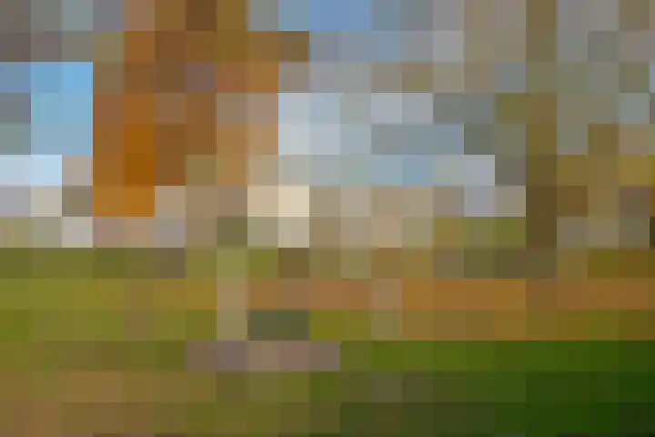 Jonagold 42 Elst thumbnail 11