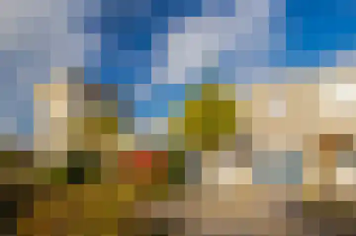 Jonagold 42 Elst thumbnail 12