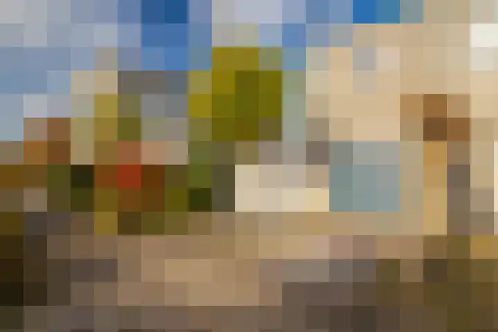 Jonagold 42 Elst thumbnail 13