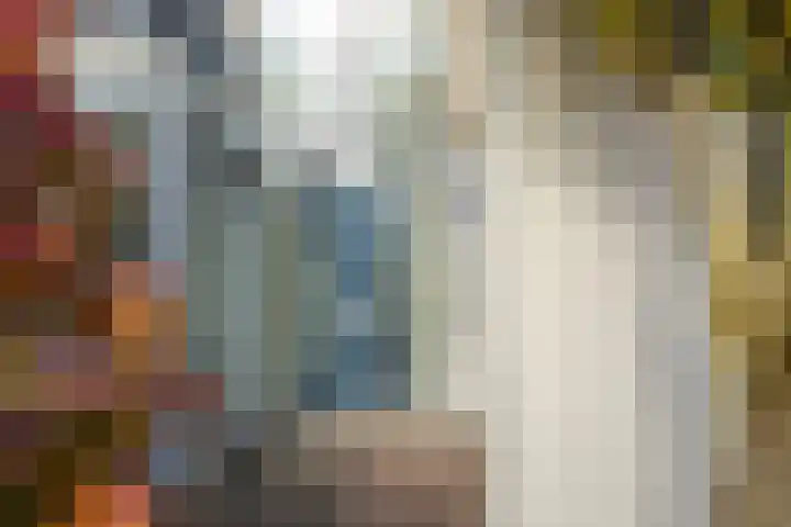 Jonagold 42 Elst thumbnail 14