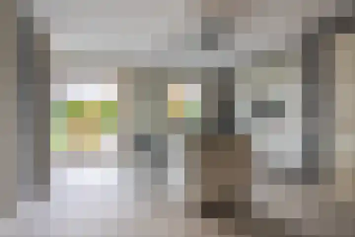 Jonagold 42 Elst thumbnail 23