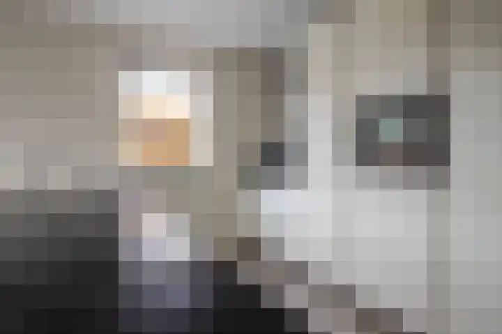 Jonagold 42 Elst thumbnail 27