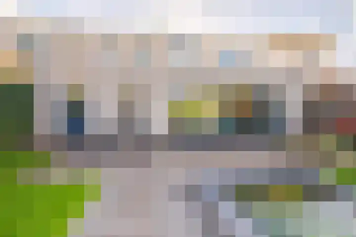 Jonagold 42 Elst thumbnail 29