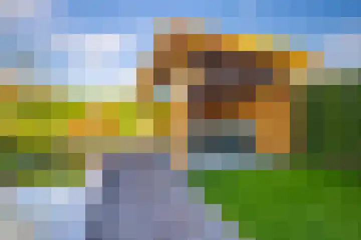 Jonagold 42 Elst thumbnail 31