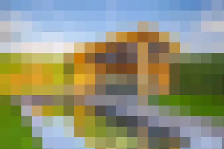 Jonagold 42 Elst thumbnail 32